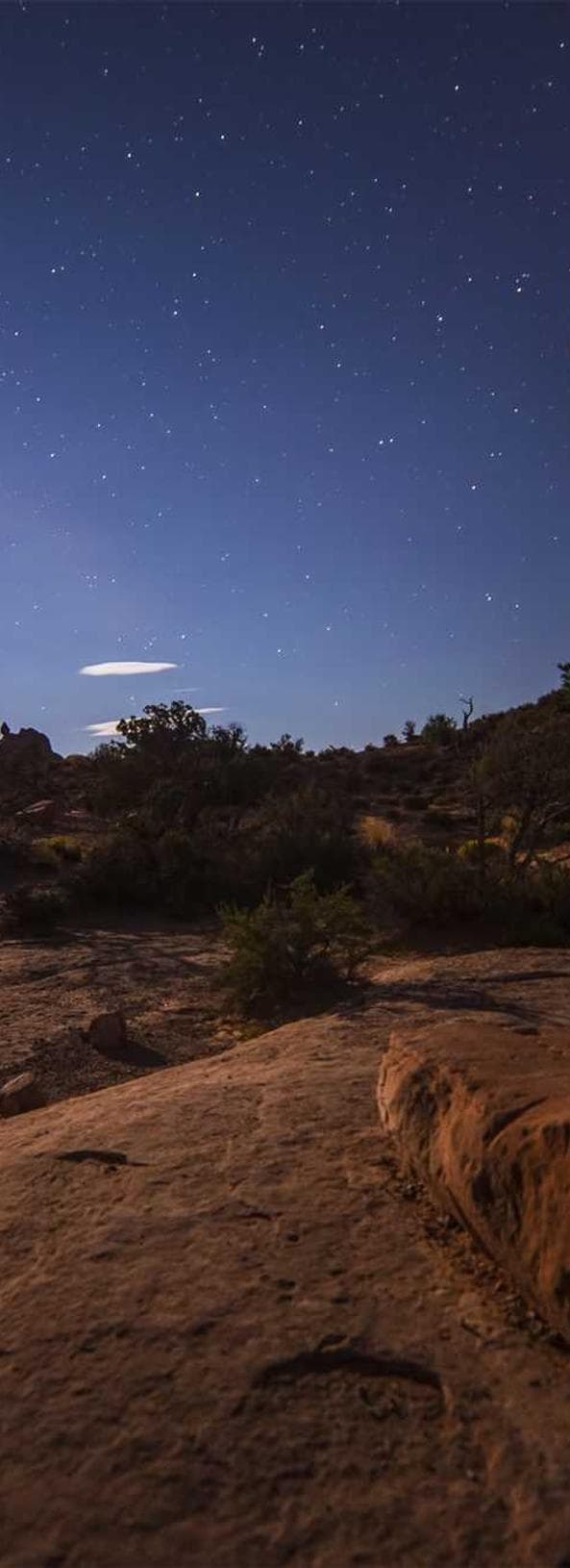 Fish development image