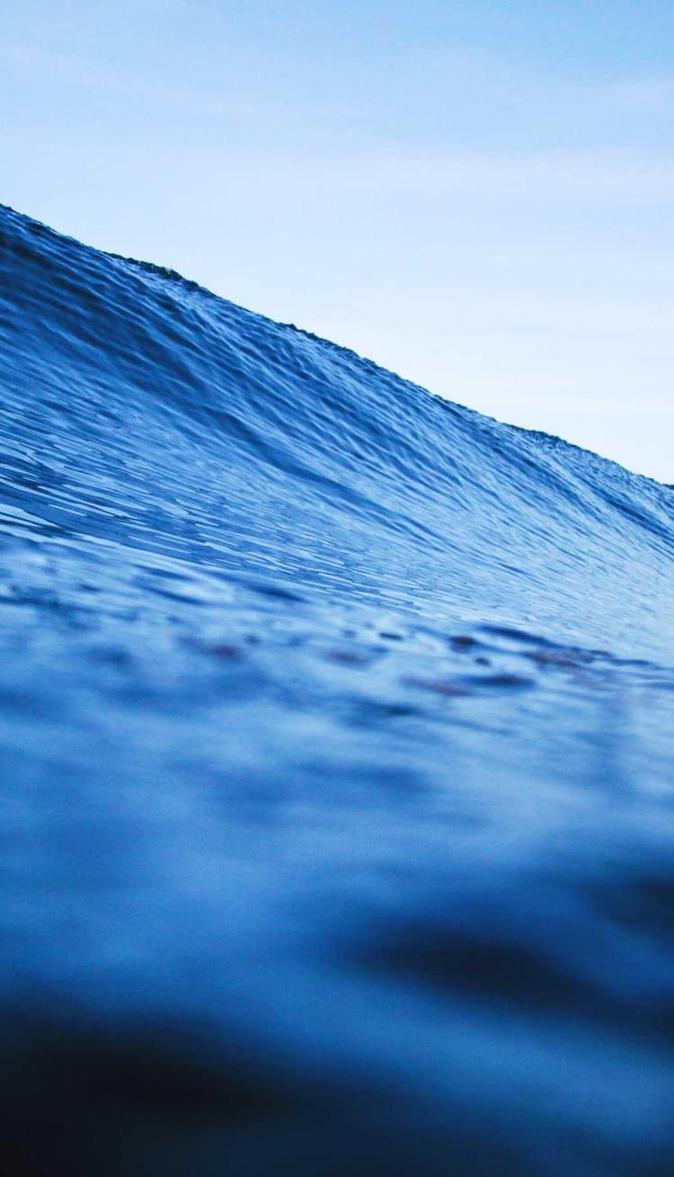 Pizza development image