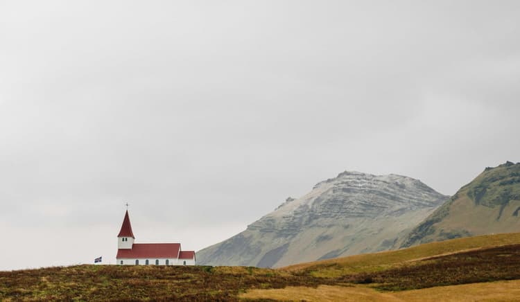 Sausages development image