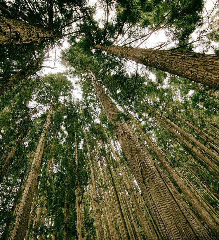 Car development image