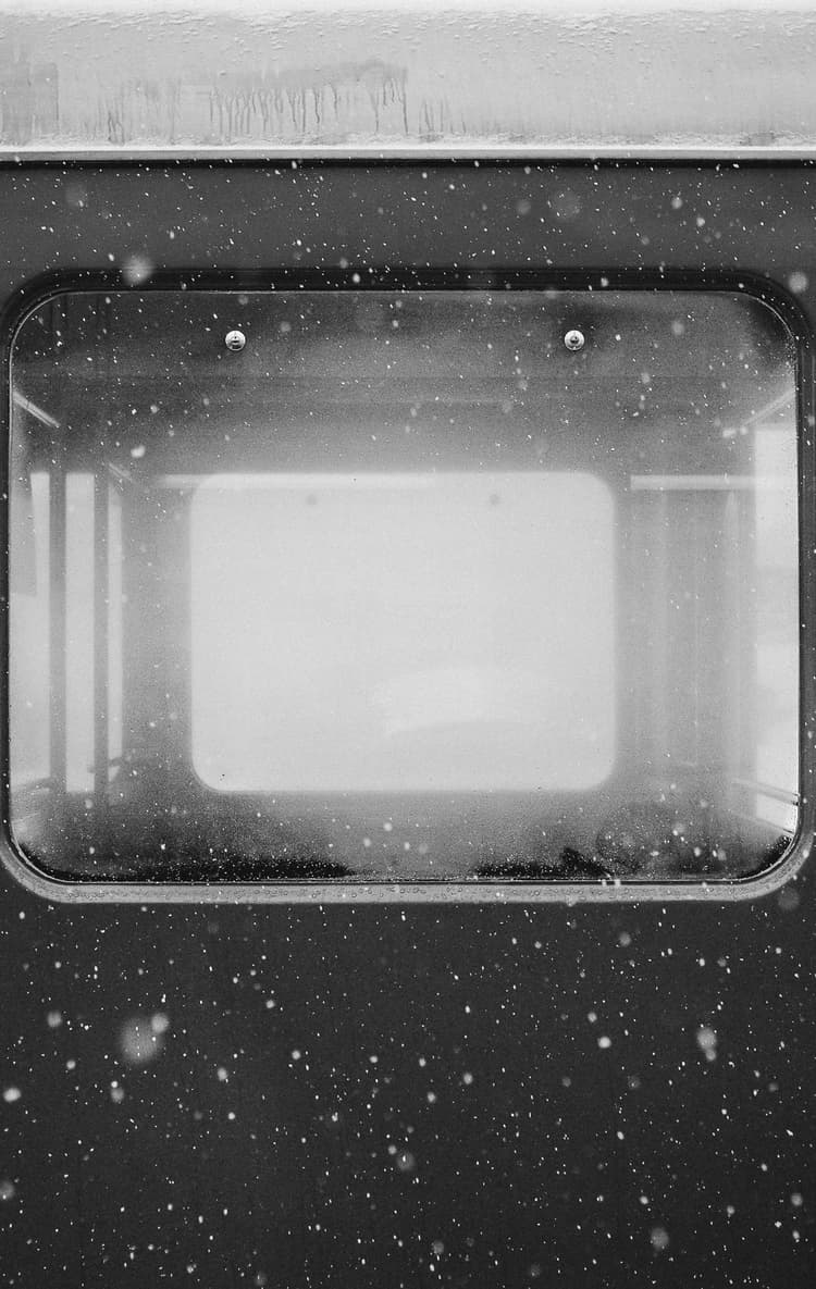 Pizza development image