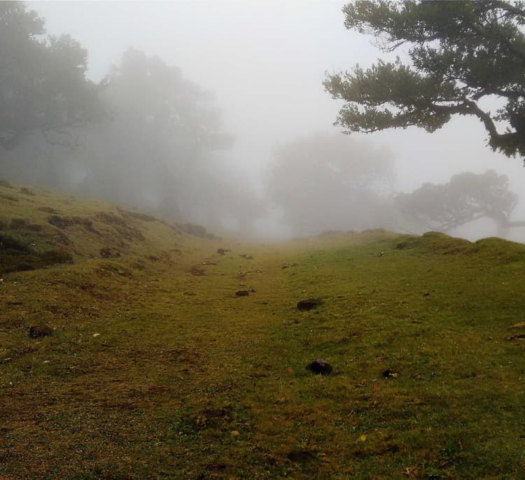 Computer development image