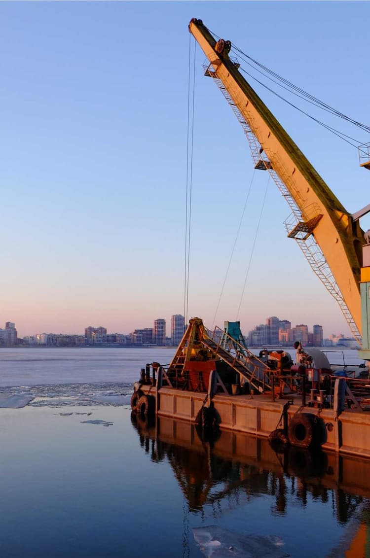 Cheese development image