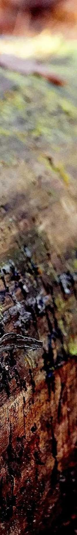 Table development image