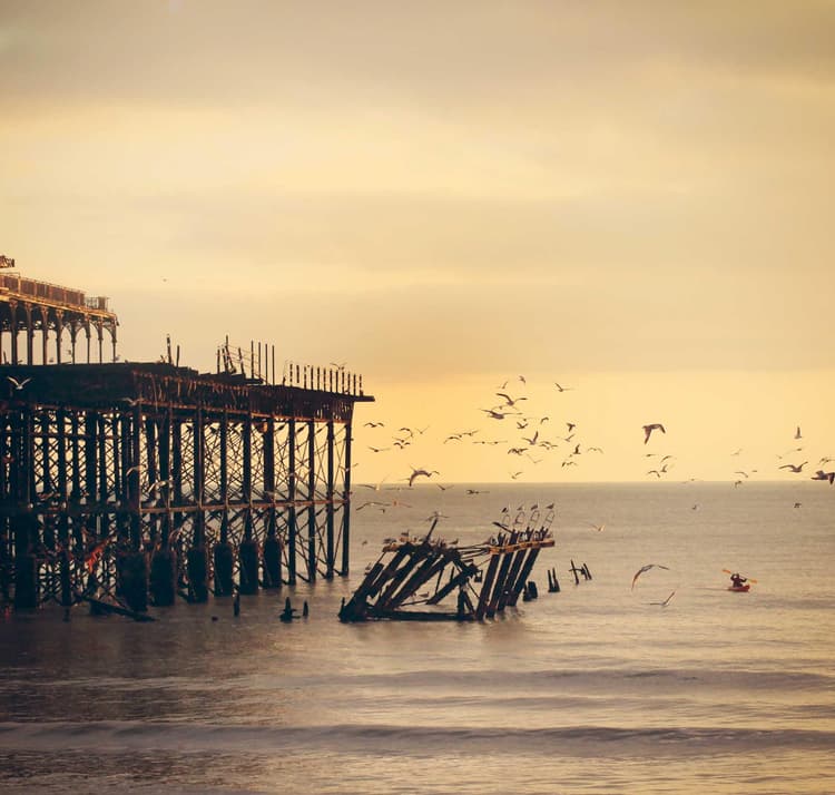 Sausages development image