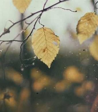 Computer development image