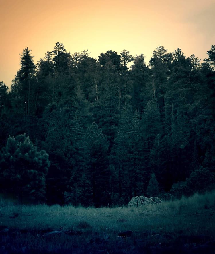 Bike development image