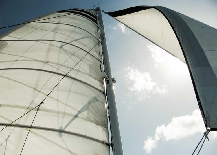 Tuna development image