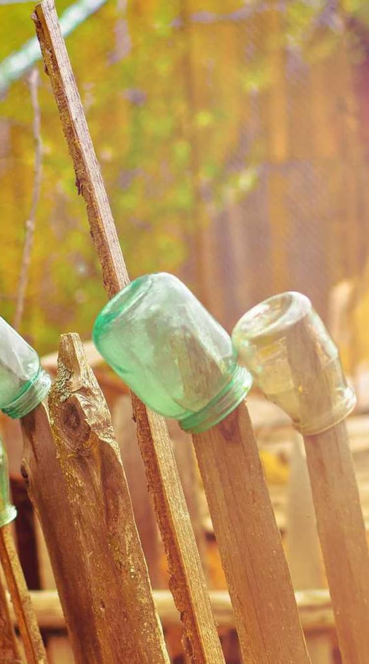 Ball development image