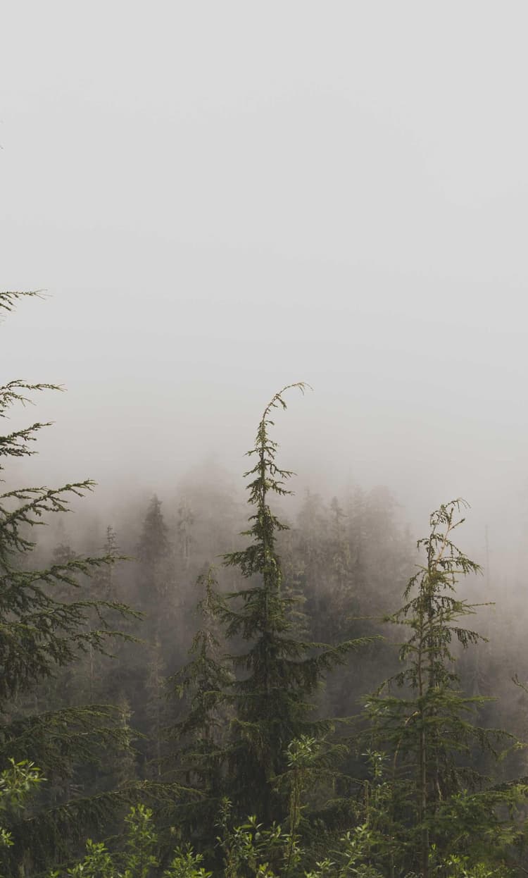 Hat development image