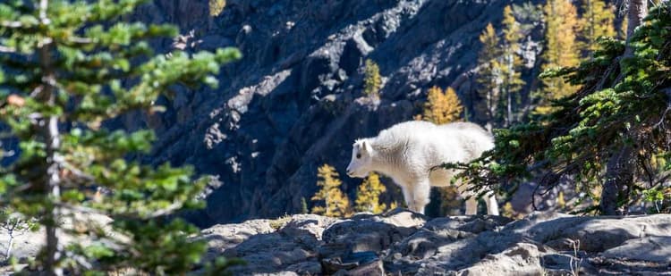 Shirt development image