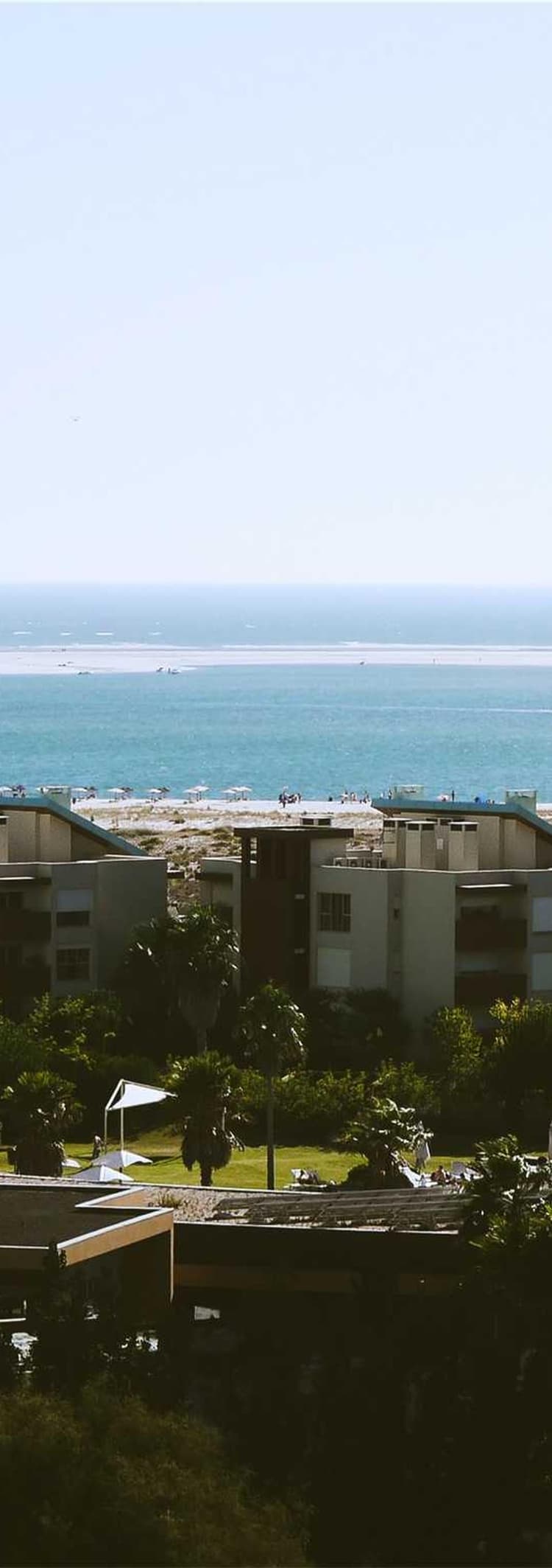 Fish development image