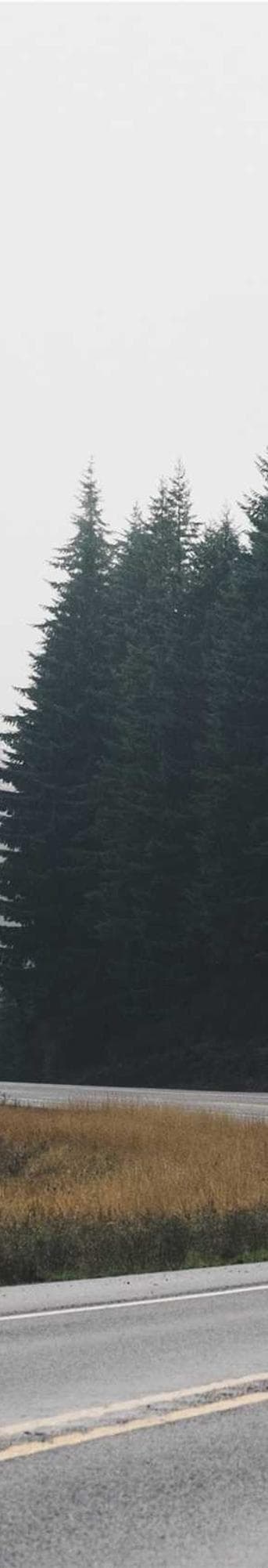 Bacon development image